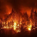 Rośnie liczba ofiar pożarów na Syberii. Brak wojska do gaszenia ognia