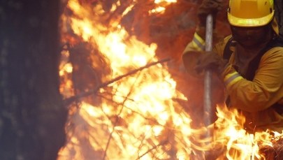 Rośnie liczba ofiar pożarów w Chile. Ogień zniszczył już 1200 domów