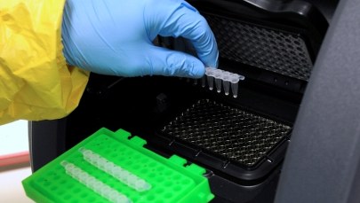 Rośnie liczba wycofywanych artykułów naukowych 