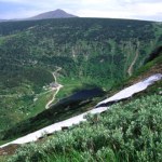 Rośnie tylko w trzech miejscach w Polsce. To gatunek prawie endemiczny