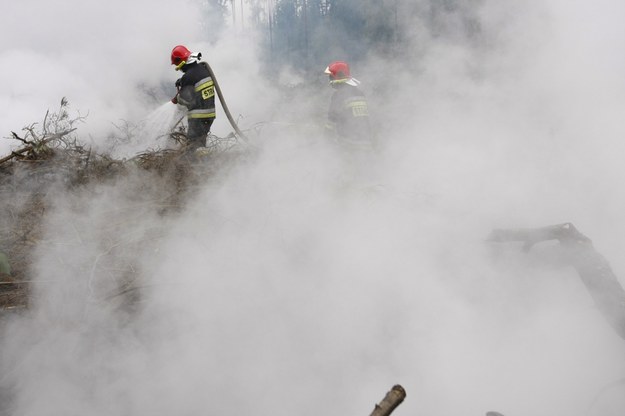 Rośnie zagrożenie pożarowe w lasach w Śląskiem /Artur Reszko /PAP