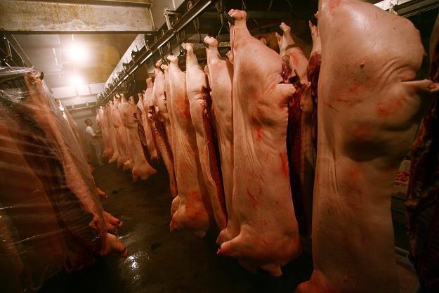 Rossielchoznadzor: Import wieprzowiny z Polski najwcześniej za trzy lata /Getty Images/Flash Press Media