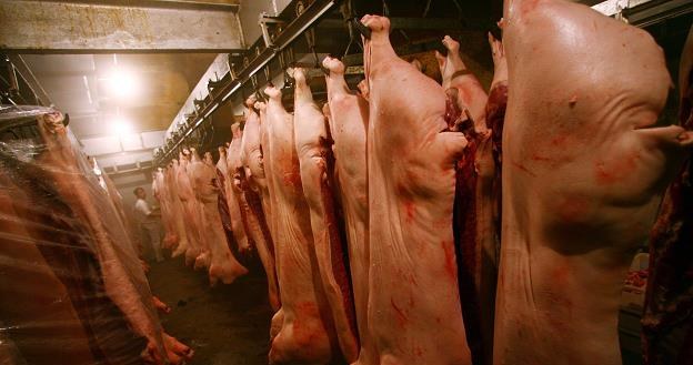 Rossielchoznadzor: Import wieprzowiny z Polski najwcześniej za trzy lata /Getty Images/Flash Press Media