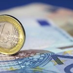 Rostowski: Stabilność euro żywotnym interesem Polski