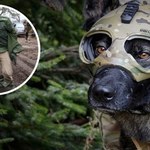 Rosyjscy żołnierze zazdroszczą wyposażenia ukraińskim... psom