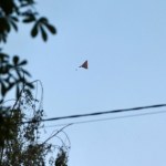 Rosyjska dezinformacja w Polsce. Ekspert: wchodzimy w "trzecią fazę"