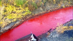 Rosyjska rzeka zmieniła kolor na czerwony