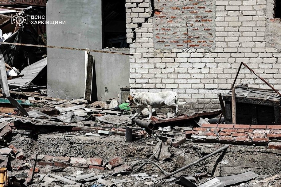 Rosyjski atak na Charków w sobotę, 31 maja /Państwowa Służba Ratownicza Ukrainy /