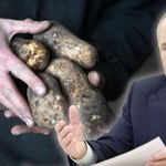Rosyjski ziemniak w cenie luksusu. Ziemniaczane eldorado to już przeszłość