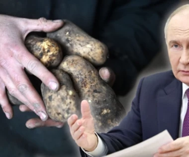 Rosyjski ziemniak w cenie luksusu. Ziemniaczane eldorado to już przeszłość