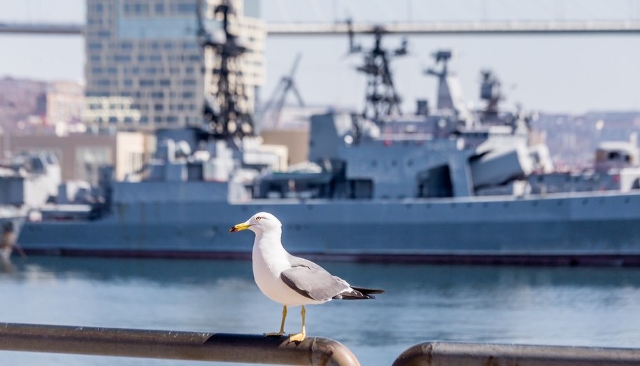 Rosyjskie drony nad wschodnimi Niemcami. Zachód alarmuje o zagrożeniu sabotażem /Shutterstock