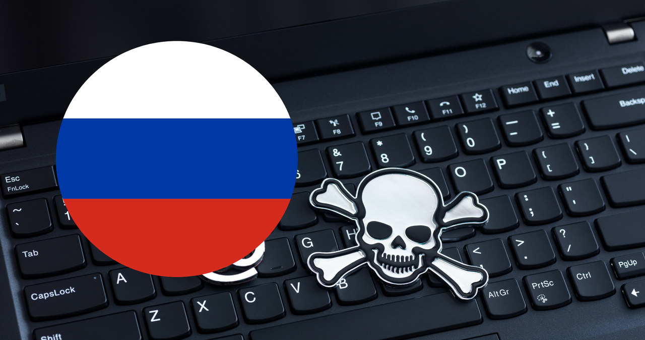 Rosyjskie firmy ofiarami ataków hakerskich. /ARKADIUSZ ZIOLEK/East News /East News
