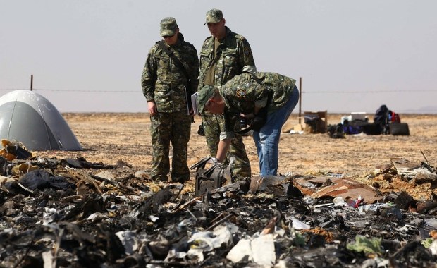 Rosyjskie media: To Szare Wilki zorganizowały zamach na rosyjski samolot lecący z Egiptu