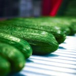 Rosyjskie ogórki zalewają Polskę. To problem dla całej UE