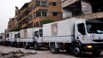 Rosyjskie okręty dotarły na Morze Śródziemne. Kreml zapowiada wznowienia nalotów na Aleppo