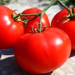 Rosyjskie "pomidorowe embargo" na Turcję szkodzi bardziej Moskwie