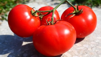 Rosyjskie "pomidorowe embargo" na Turcję szkodzi bardziej Moskwie