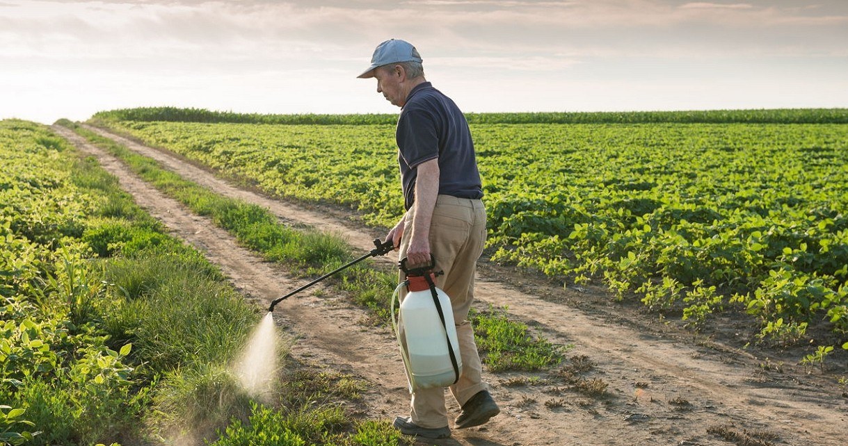 Roundup od Monsanto wywołał raka u ogrodnika. Sąd wyznaczył 289 mln $ odszkodowania /Geekweek