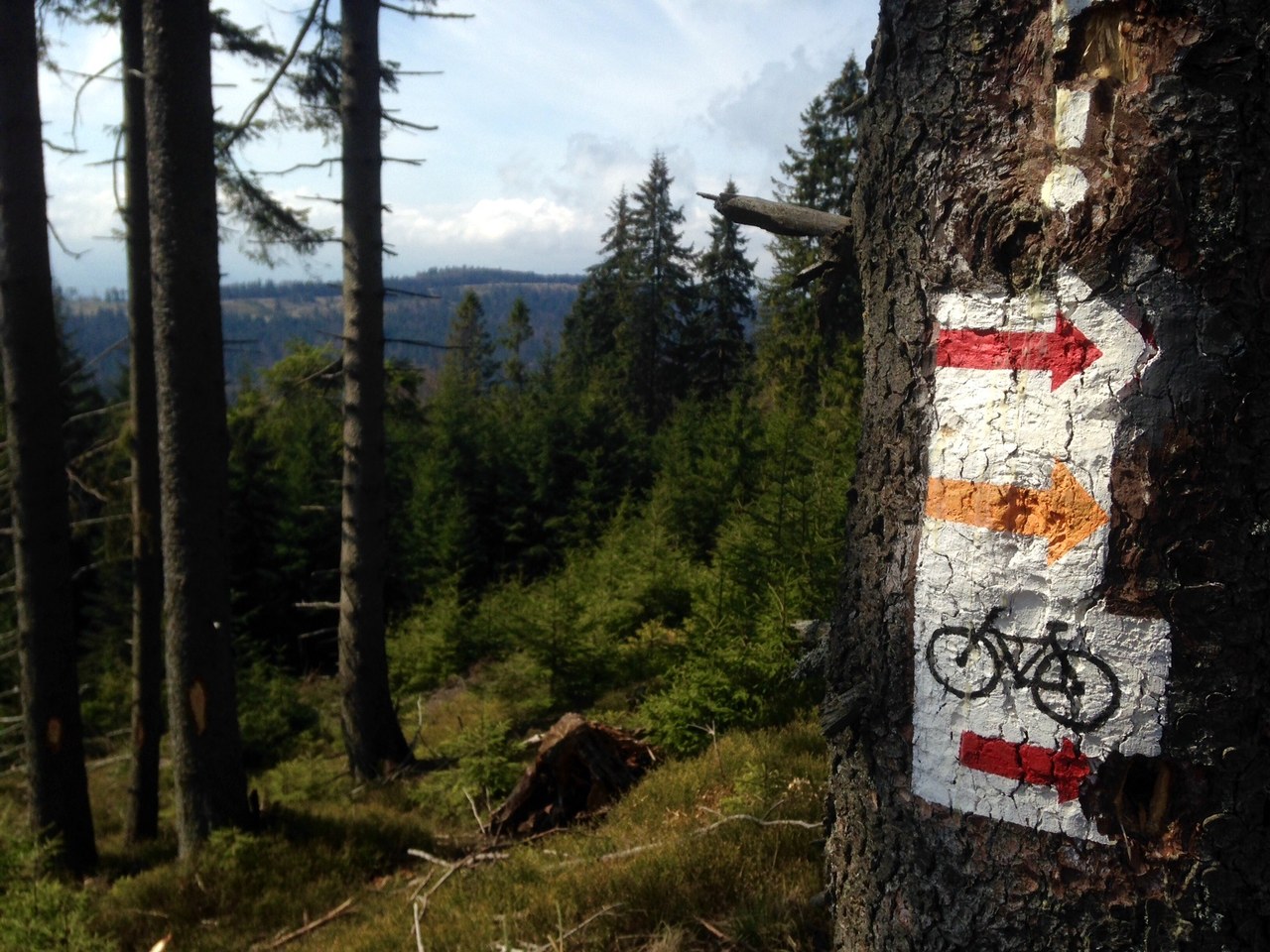 Przybij Piatke Naturze Gorce Czekaja Pogoda W Interia Pl