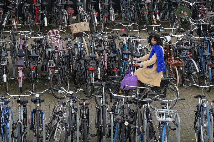 Rowerowy parking w Amsterdamie. /SEBASTIEN BOZON /Agencja FORUM