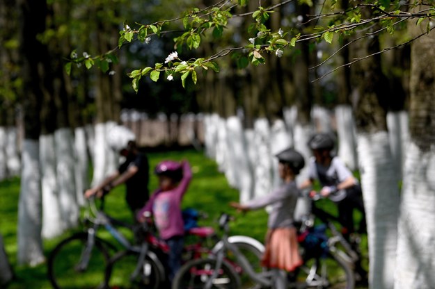 Rowerzyści podczas „Majówki pod dereniem i jabłonią” w arboretum w Bolestraszycach /Darek Delmanowicz /PAP