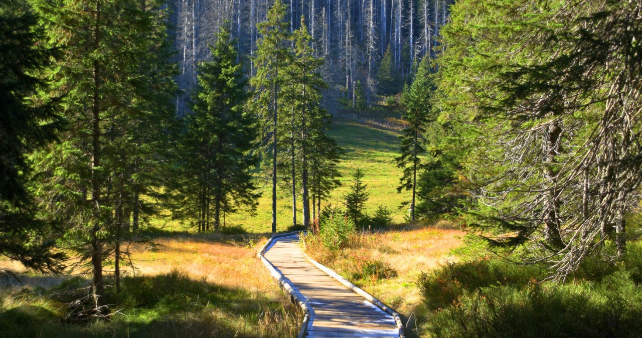 Rówień Waksmundzka - piękny punkt widokowy w Tatrach /Albin Marciniak/East News /East News