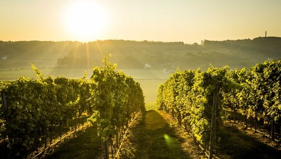 Równonoc jesienna 2020. Żegnamy lato, witamy jesień