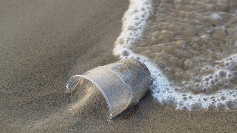 Rowy oceaniczne są najlepszym sposobem na walkę z plastikiem w oceanach /Geekweek