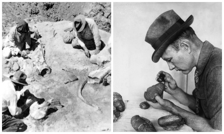 Roy Chapman Andrews prowadził poszukiwania na pustyni Gobi. Po prawej: ze swoim największym znaleziskiem - jajami dinozaurów /Getty Images/Flash Press Media