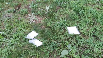 Rozbita siatka dilerów narkotykowych 