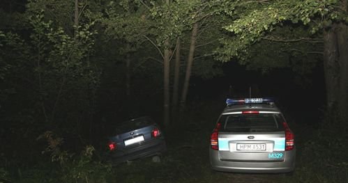 Rozbite i porzucone w rowie BMW /Informacja prasowa