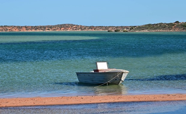 Rozbitek z psem uratowani po dwóch miesiącach 