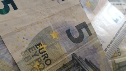 Rozbito gang fałszerzy pieniędzy. Aresztowano 9 osób