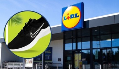 Rozchwytywane buty Nike w niskiej cenie w Lidlu. Szokująca oferta promocyjna!