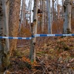 Rozczłonkowane ciało w parku w Słupsku. Zatrzymany mężczyzna