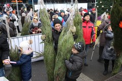 Rozdawaliśmy choinki od RMF FM w Katowicach 