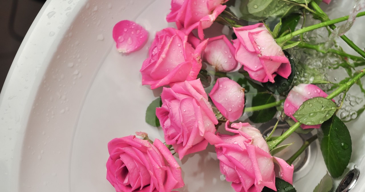 Róże w wazonie wytrzymają dłużej, dzięki kilku prostym zasadom /123RF/PICSEL