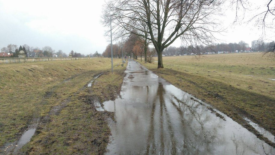 Rozjeżdżona alejka w pobliżu Błoń /Jacek Skóra /RMF FM