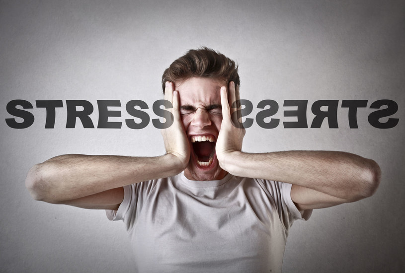 Rozładowywanie stresu pracowników staje się standardem w przedsiębiorstwach na całym świecie /123RF/PICSEL