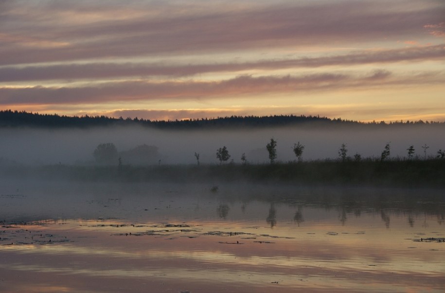 Rozlewiska na Podlasiu /Marek Bazak /East News