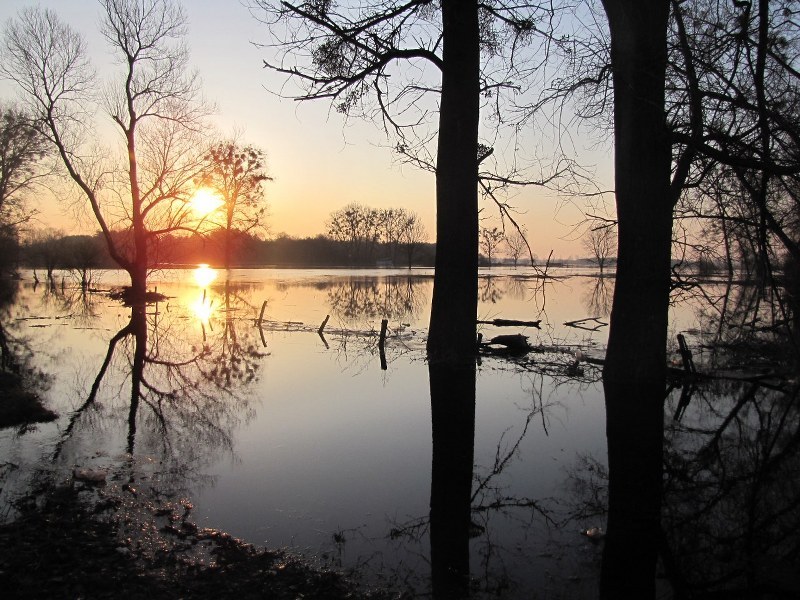 Rozlewisko na Bugu w gminie Hanna /Krzysztof Kot /RMF FM