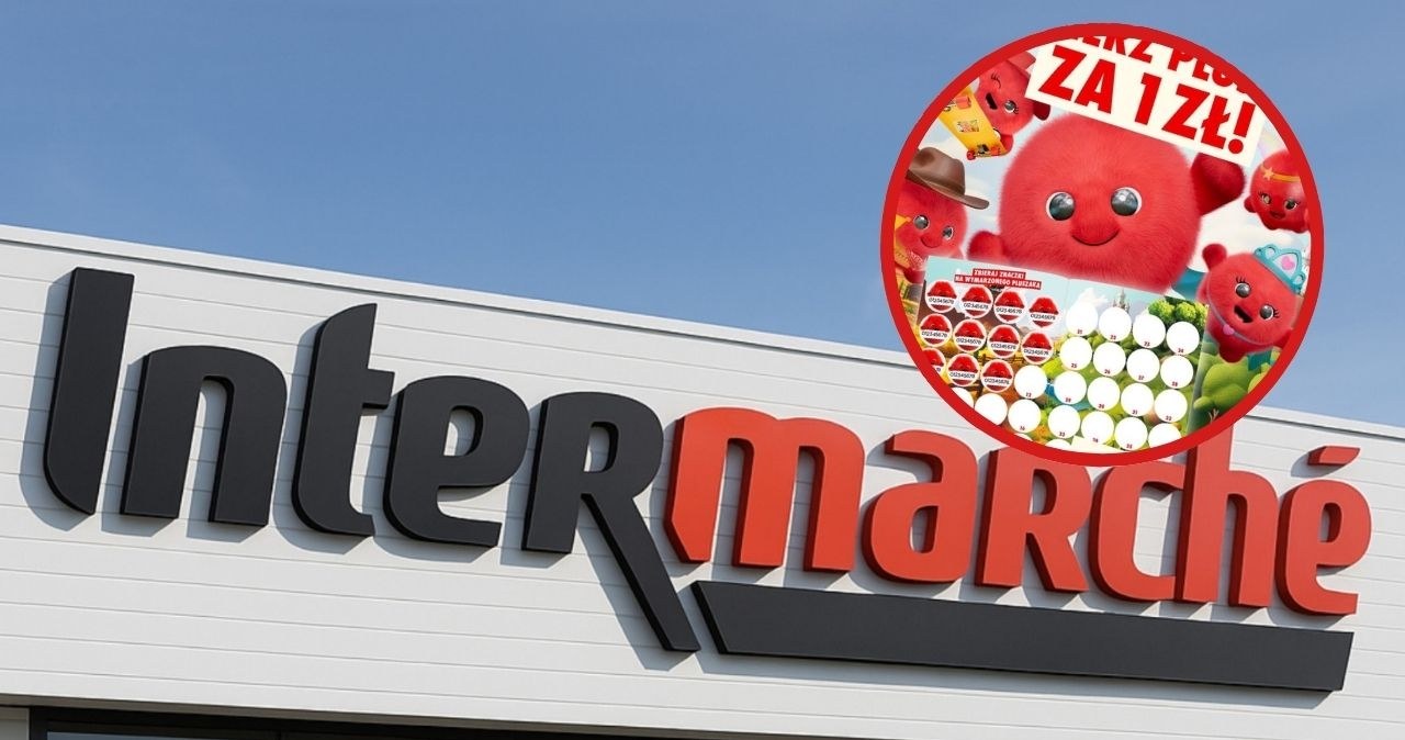Rozmarzone Pluszaki za 1 zł w Intermarché – jak zdobyć maskotki i zebrać całą kolekcję? /CanvaPro /INTERIA.PL