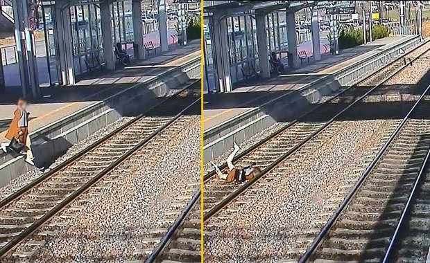 Rozmowa przez telefon o mało nie skończyła się tragedią. Groźny wypadek na peronie  