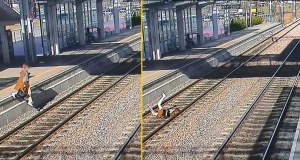 Rozmowa przez telefon o mało nie skończyła się tragedią. Groźny wypadek na peronie  