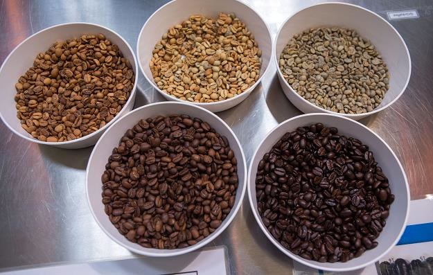 Różne rodzaje ziaren kawy wykorzystywanych do produkcji w Schwerinie /EPA