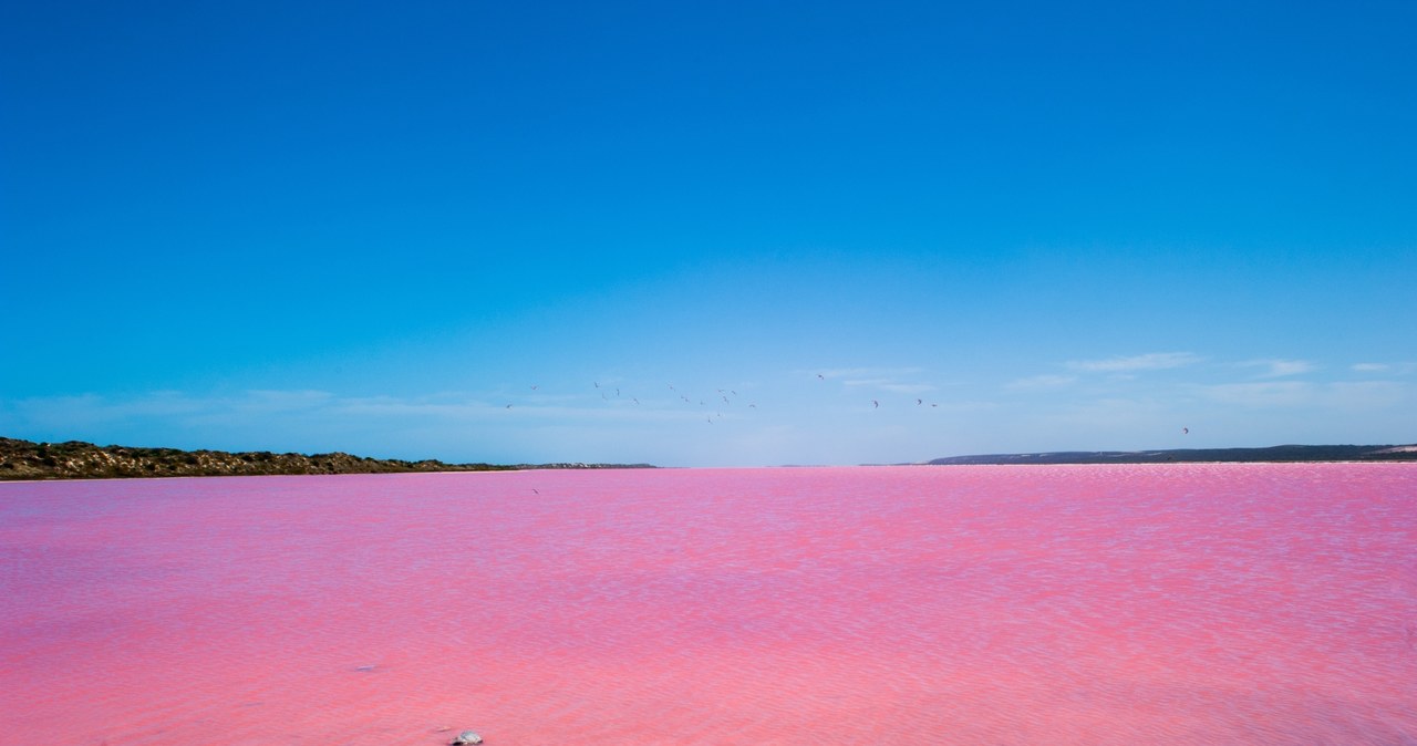Różowe jezioro Torrevieja to jedna z głównych atrakcji południa Costa Blanca. Czemu zawdzięcza swój wyjątkowy kolor? /Pixel