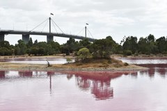 Różowe jezioro w Parku Westgate w Melbourne