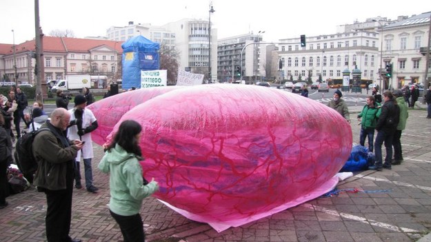 Różowe płuco ma zwrócić uwagę na skutki zdrowotne polskiej polityki energetycznej /Monika Gosławska /RMF FM