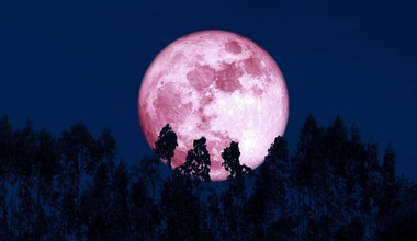 Różowy Księżyc pojawi się niedługo. Trzy znaki zodiaku czeka wstrząs