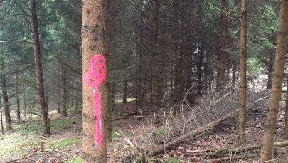 "Różowy" Park Krajobrazowy w Trójmieście: Geodeta "poszalał" 